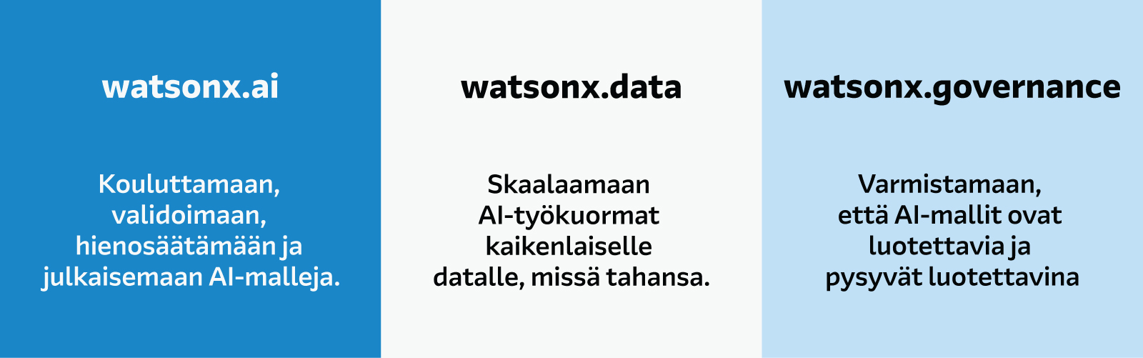 watsonx infograph