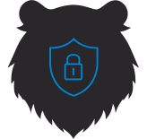 Icon with padlock inside shield shape
